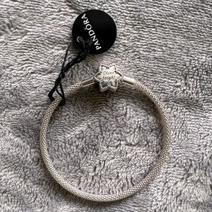 Sparkling Sterling Silver Mesh Bracelet Star Pendant